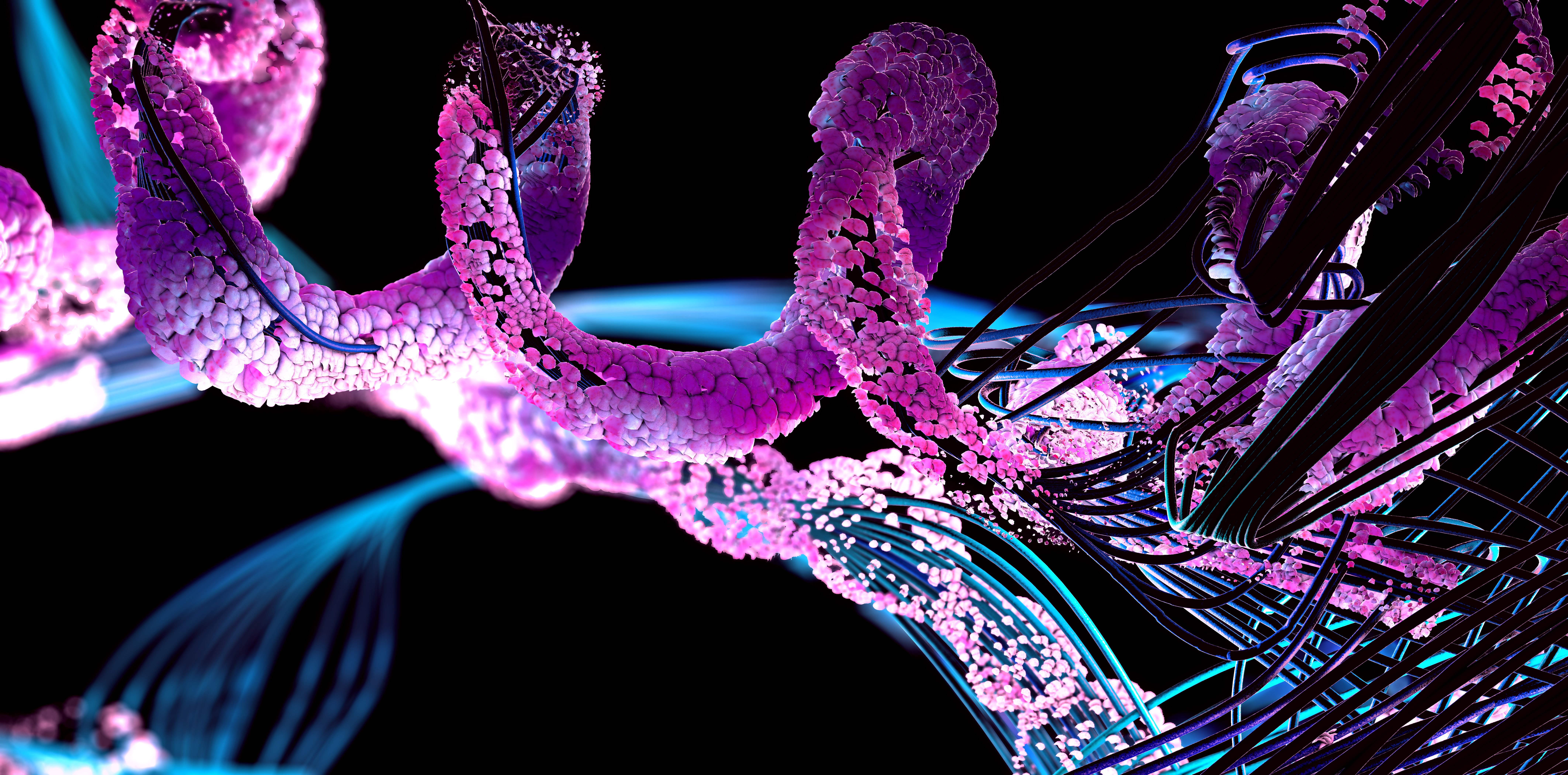 [Herbal Health] The Power of Proteins