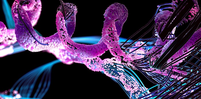 [Herbal Health] The Power of Proteins