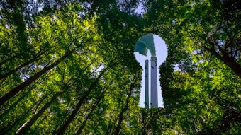 Eco-Friendly or Eco-Fraud? How to Spot Greenwashing & Avoid It