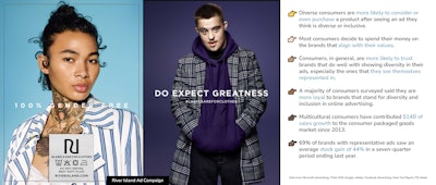 Inclusive Marketing Stats