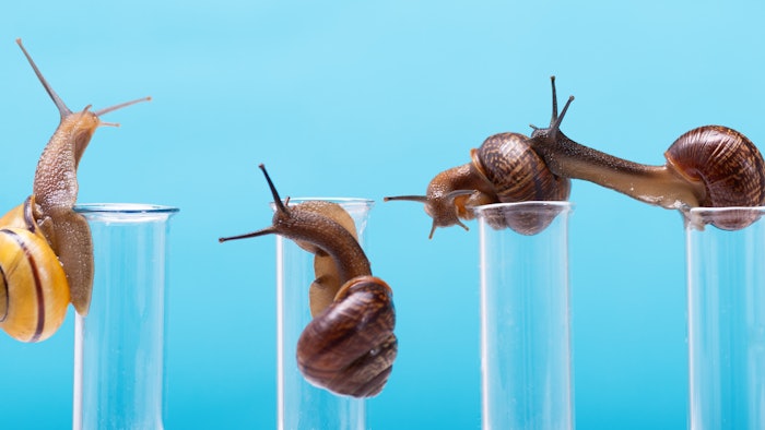 Snail Mucin Trending Ingredient