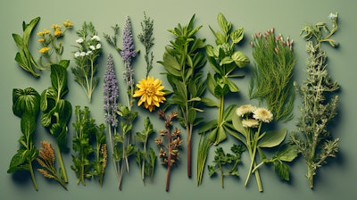 Any sourcing story used should be intuitively understandable, striking a balance between being informative without being overly technical to effectively engaged with the consumer.