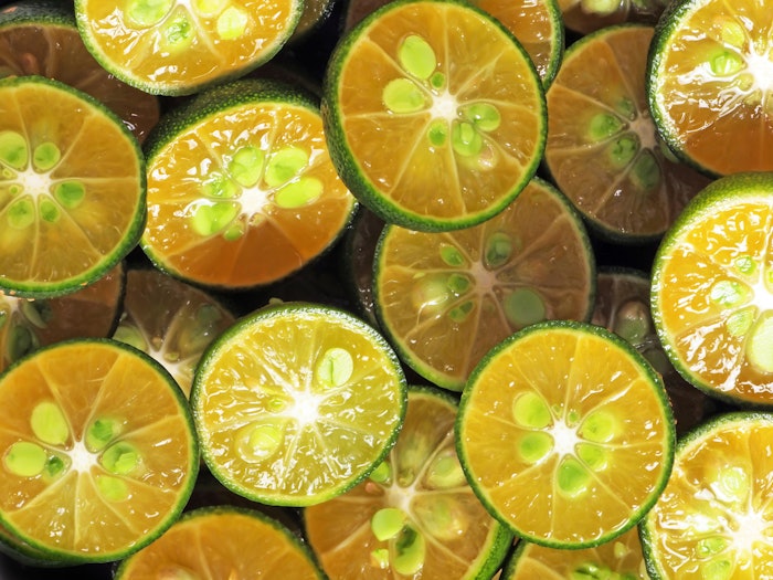 Calamansi can be eaten in any stage of maturation, and I would expect that the characteristics change during ripening much like the mandarin does.