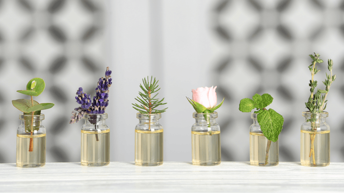Glass bottles with different essential oils and herbs on table