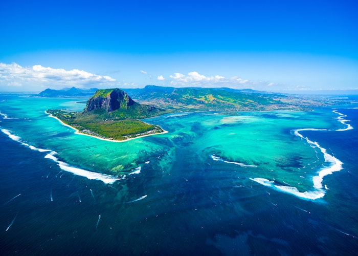 The technology comprises a Zingiber zerumbet extract obtained by supercritical CO2 extraction from organically grown and fully traceable biomass sourced in Mauritius.