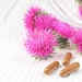 Milk thistle plant and nutritional supplements