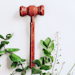 Wooden gavel for a judge on a background with green plants.