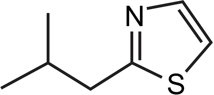 Screenshot 2024 02 22 At 1 38 09 Pm