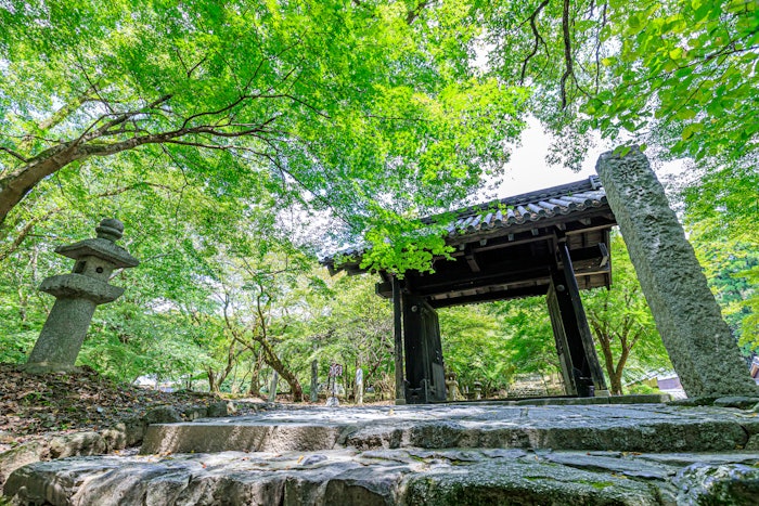 Asakura City (pictured) is home to the Kogane River, which is said to be the only natural habitat for Suizenji nori.