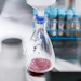 Through this partnership, Döhler will develop natural ingredients and ingredient blends to complement Vertosa’s offerings.