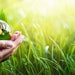 Green Planet in Your Hands. Environment Concept