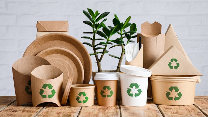 Indoor green plant and eco-friendly paper tableware with recycling signs. The concept of zero waste and conservation of nature.