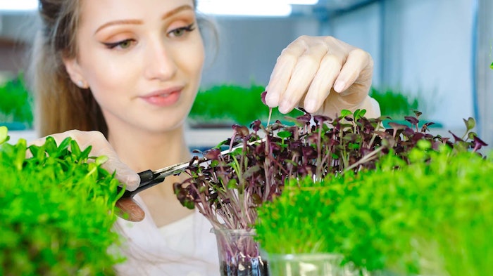 Indoor farming or controlled environment agriculture is one solution to fulfill the demand for sustainable ingredients.