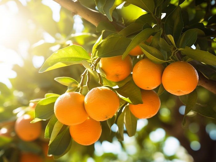 The report is said to mark a significant milestone in the company’s ongoing journey toward sustainability, encapsulating a deep commitment to environmental and social responsibility at the core of its corporate vision.