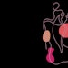 illustration of a woman's silhouette, minimal drawing, body shape concept