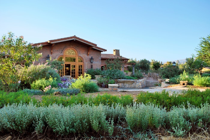 Rancho La Puerta outdoor view