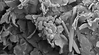 Bénard shares, 'A cardamom crystal, a reflection of narcissus and this heart of tuberose suggest olfactorily the myth of Medusa.'