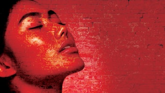 Woman's face on a brick wall