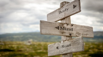 Body Mind and Soul of Self Care