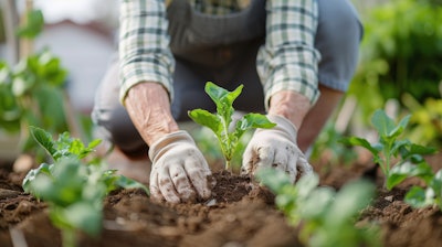 'The flavor industry is vital in advancing global sustainability goals by ensuring that flavorings are safely produced and responsibly sourced,' said Ballschmiede.