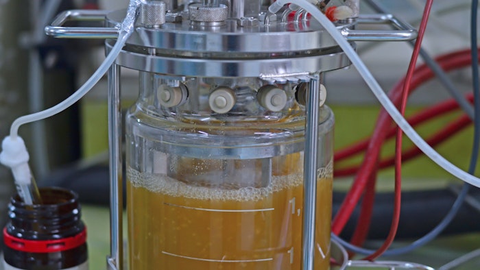 Fermenter In Lab Beaker Equipment Setup adobe Stock 268155792