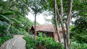 A holistic approach to reducing inflammation is critical as it addresses any underlying factors.