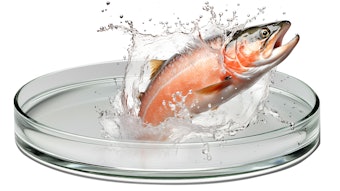 Rejuran boosts collagen production for firmer skin and better elasticity.