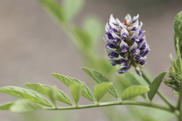 Adobe Stock 214844032