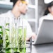 Chemists In Lab Studying Plant Samples In Test Tubes Adobe Stock 535785298