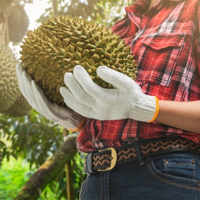 Durian is dominated by heavy sulfur notes, but 50 ppm of cis-3-hexenyl hexanoate has a subtle brightening effect.