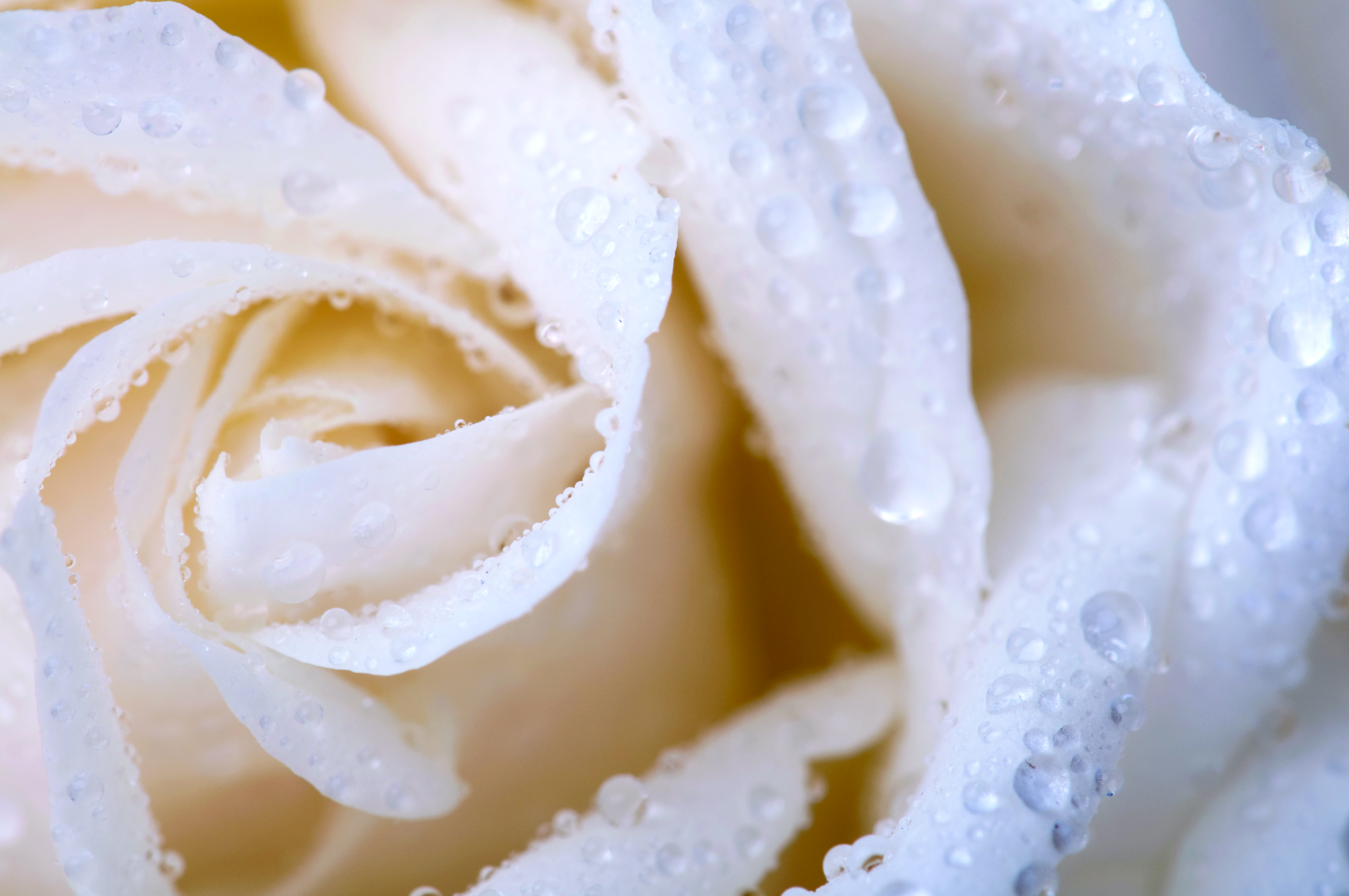 Croda Gettyimages153750872 (1)