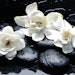 Gardenia can be effective for improving firmness and protecting against UV exposure.