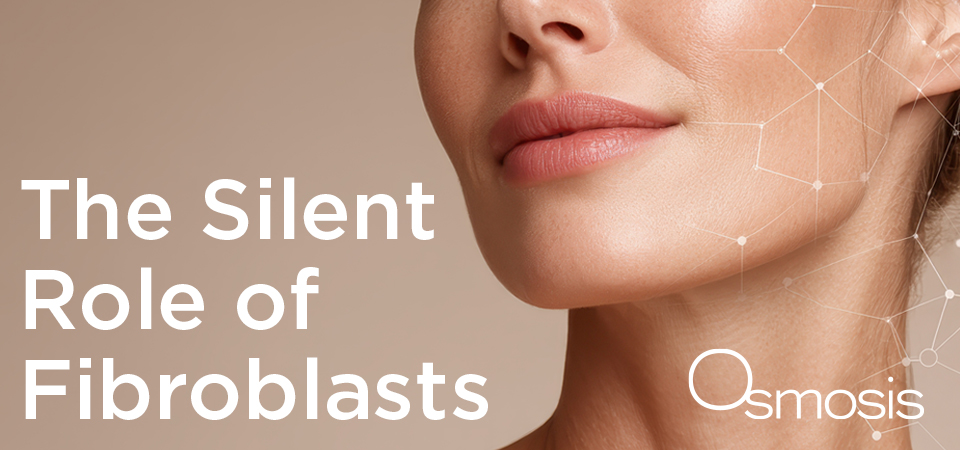 Osmosis Fibroblasts 800x450px