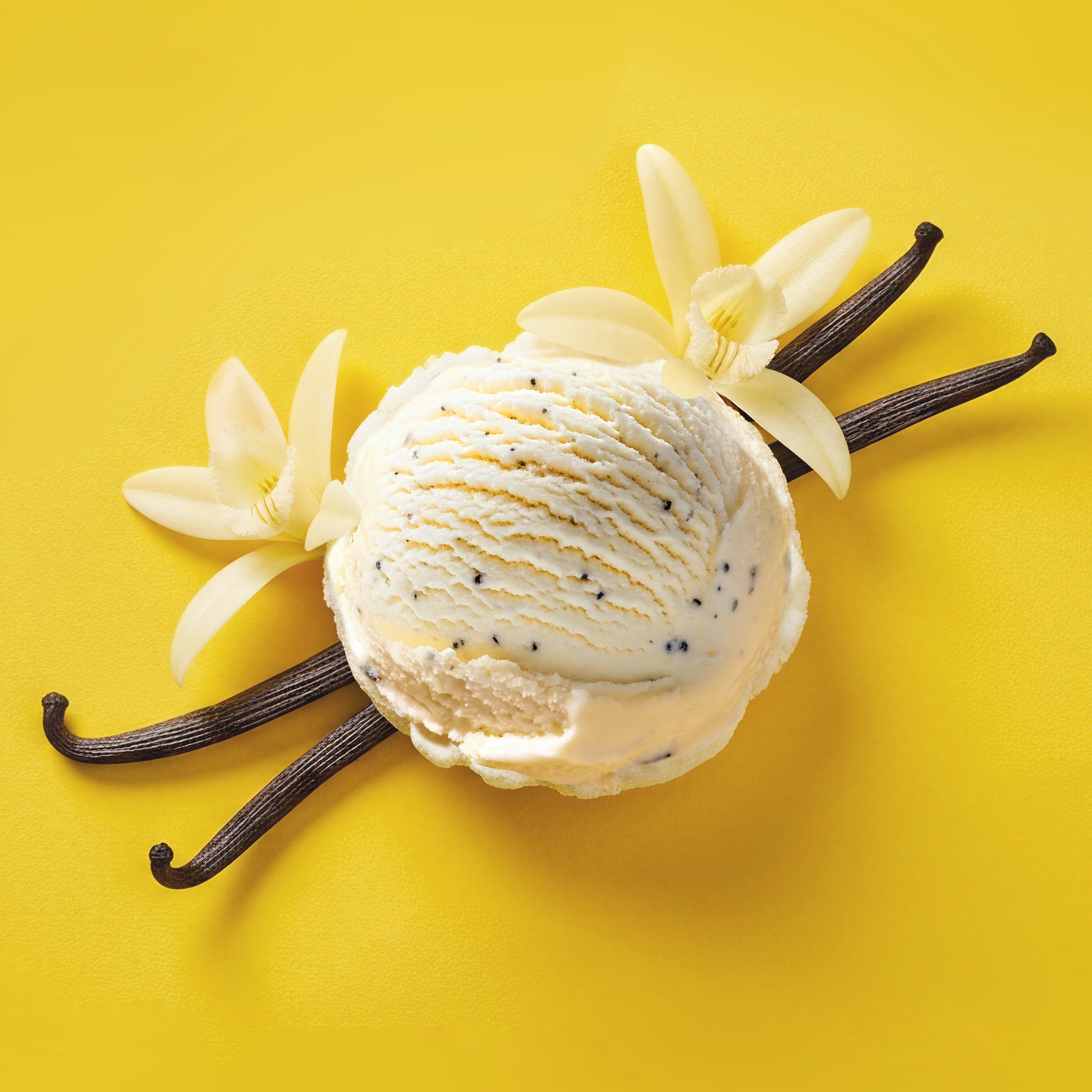 Hevani Ice Cream