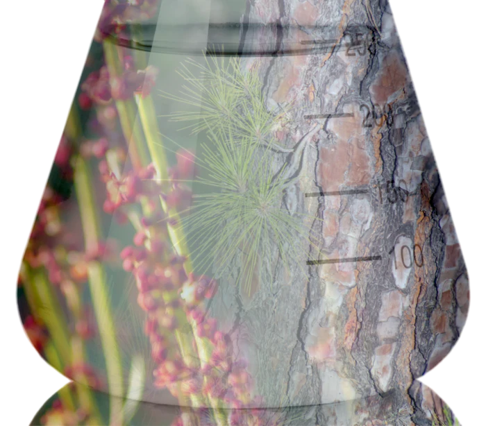 Tensylpro Flask