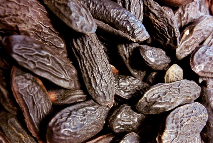For perfumers, the material offers enhanced performance and cost efficiency alongside a richer olfactive profile: creamy roasted-almond facets, sun-dried hay nuances and cocoa undertones layered with a distinctive brown-sugar warmth and subtle buckwheat-like saltiness.