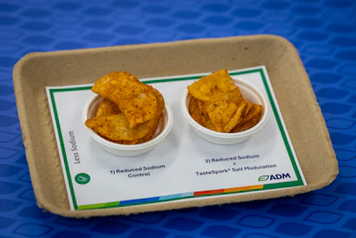 Sodium reduction is no longer just about lowering salt levels, but preserving emulsification, shelf life, and umami perception through tools like TasteSpark salt modulation systems that can reduce sodium by 25–30% in savory applications.