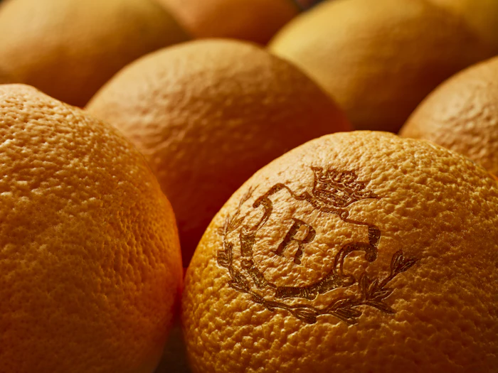'At its core, Robertet’s ambition is simple yet powerful: to future naturals by putting creation at the service of brands, and brands at the service of consumers,' says Mark Bailey, senior vice president, global flavors division, Robertet.