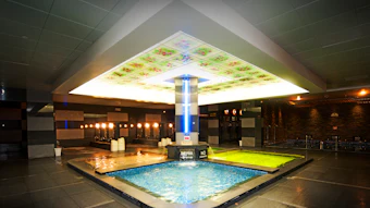 Indoor Bath Area Hottub