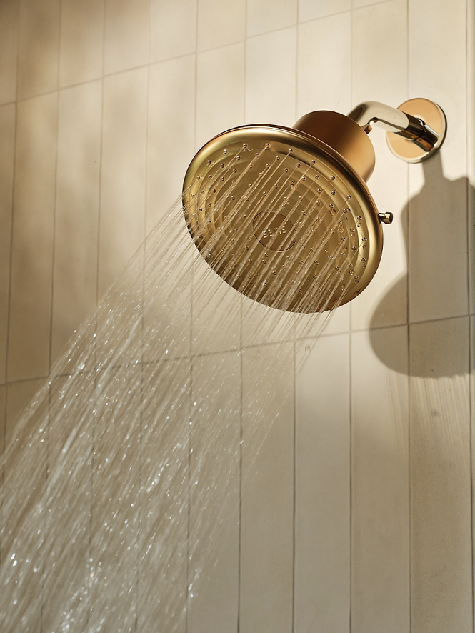Sans Filtered Showerhead