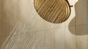 Sans Filtered Showerhead