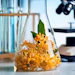 Yellow flowers with green leaves in a glass beaker in a laboratory setting with scientific equipment