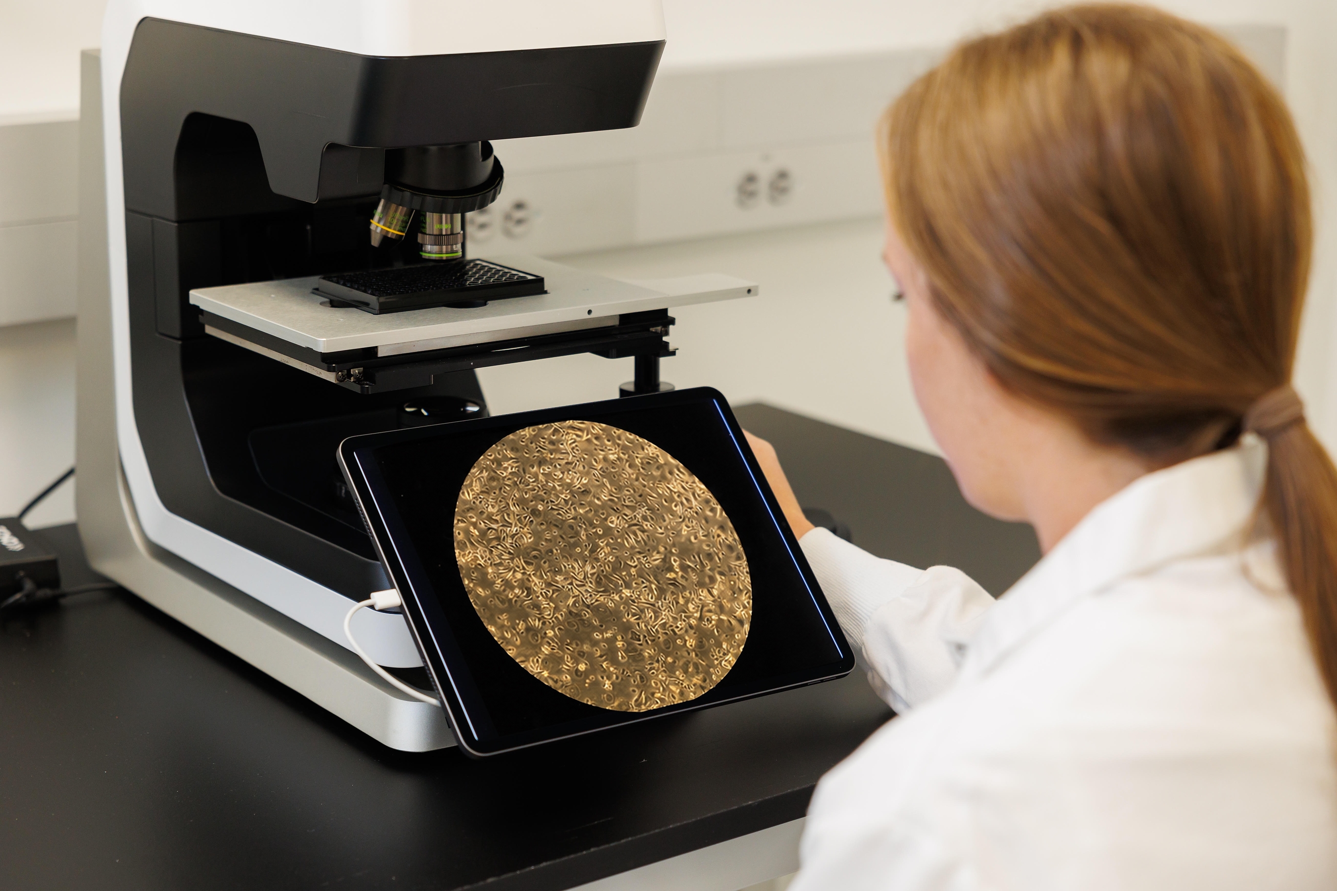 Scientist viewing microplate reader displaying golden crystalline sample analysis on monitor