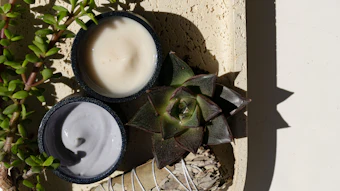 Overhead view of two cream-filled bowls with succulents, sage bundle, and green foliage on sandy surface